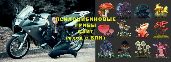 бутират Майский