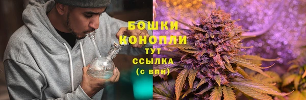 бутират Майский