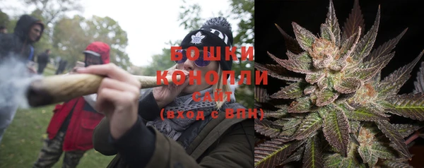 бошки Данков